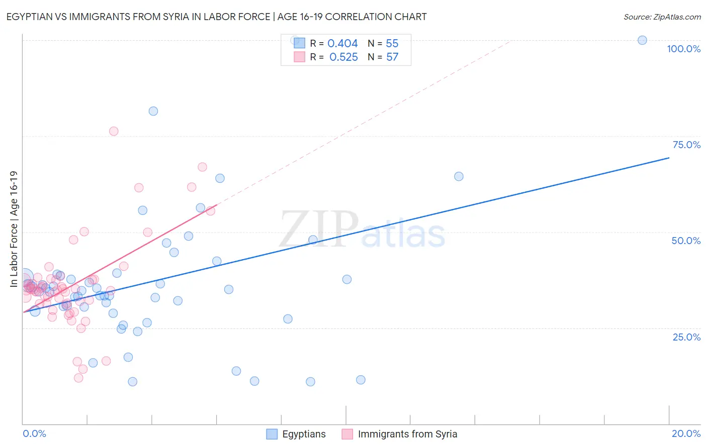 Egyptian vs Immigrants from Syria In Labor Force | Age 16-19