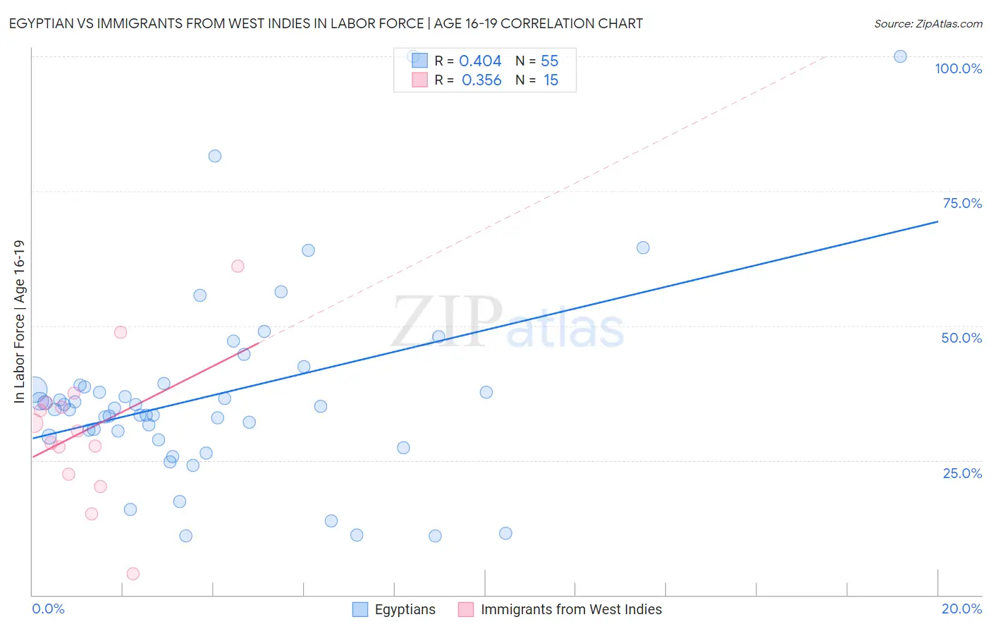 Egyptian vs Immigrants from West Indies In Labor Force | Age 16-19