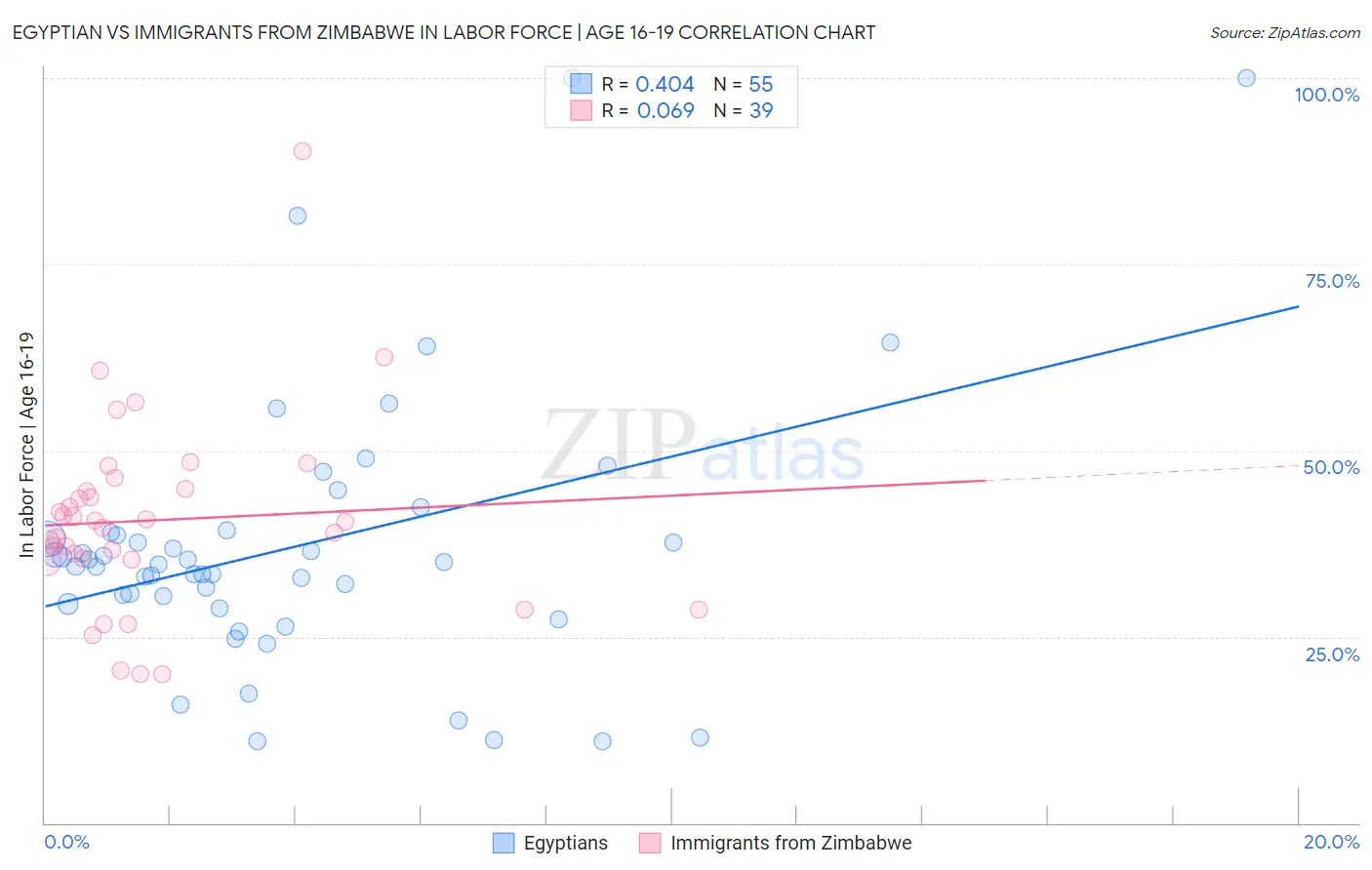 Egyptian vs Immigrants from Zimbabwe In Labor Force | Age 16-19