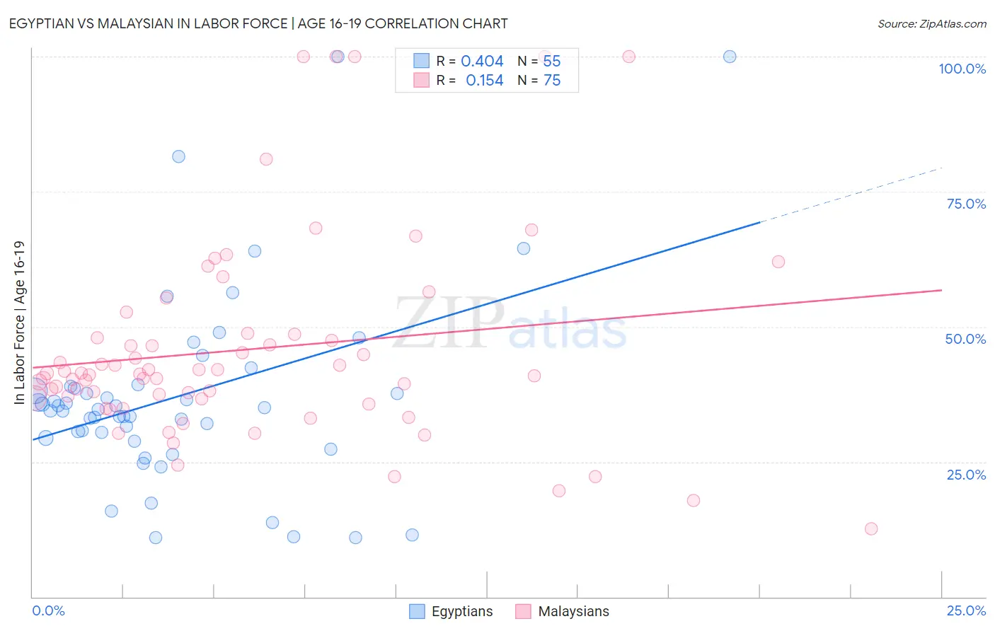 Egyptian vs Malaysian In Labor Force | Age 16-19