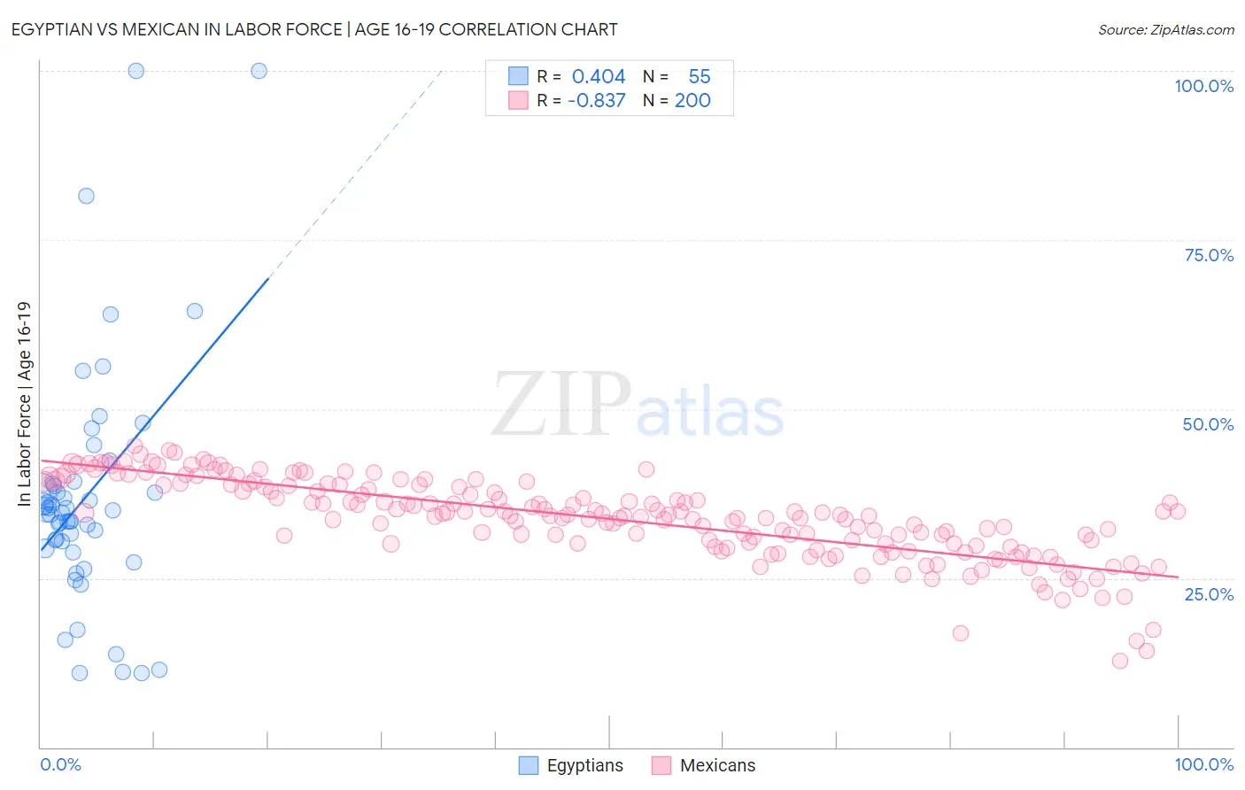 Egyptian vs Mexican In Labor Force | Age 16-19