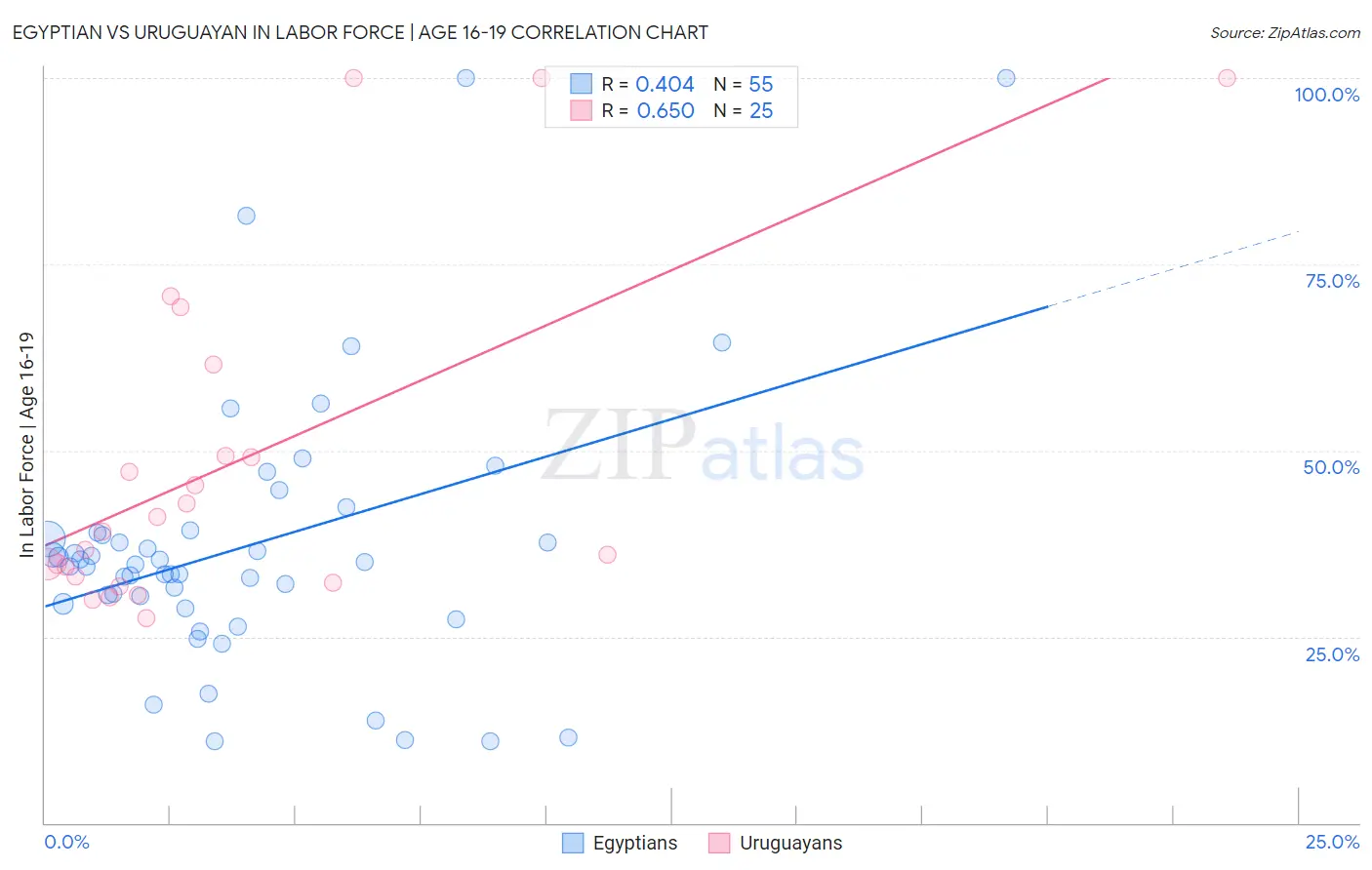 Egyptian vs Uruguayan In Labor Force | Age 16-19