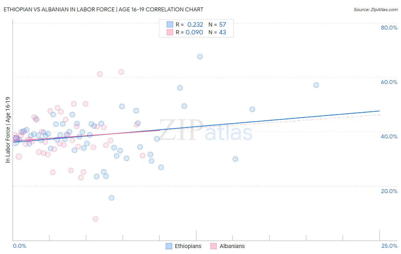 Ethiopian vs Albanian In Labor Force | Age 16-19