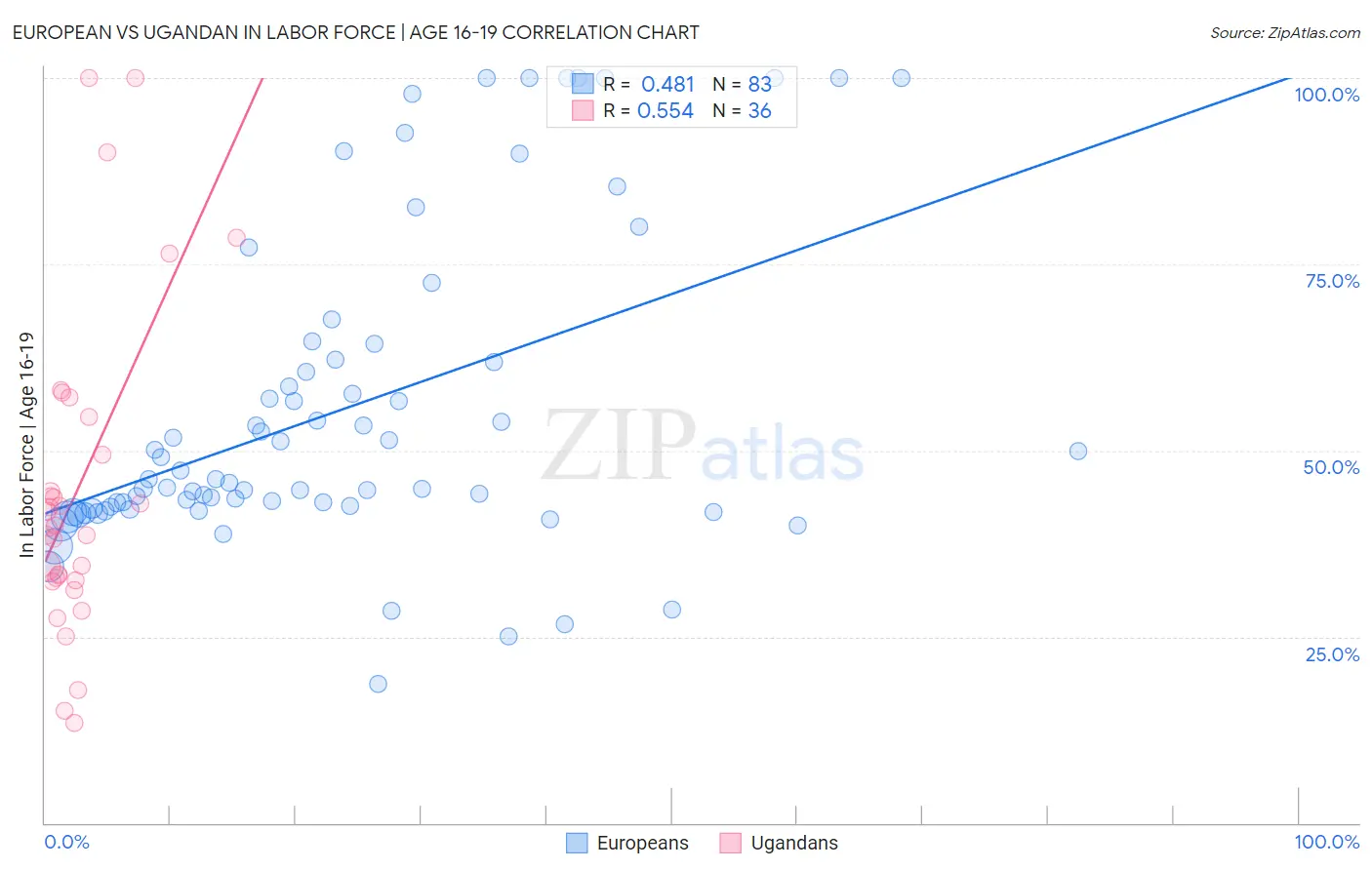 European vs Ugandan In Labor Force | Age 16-19