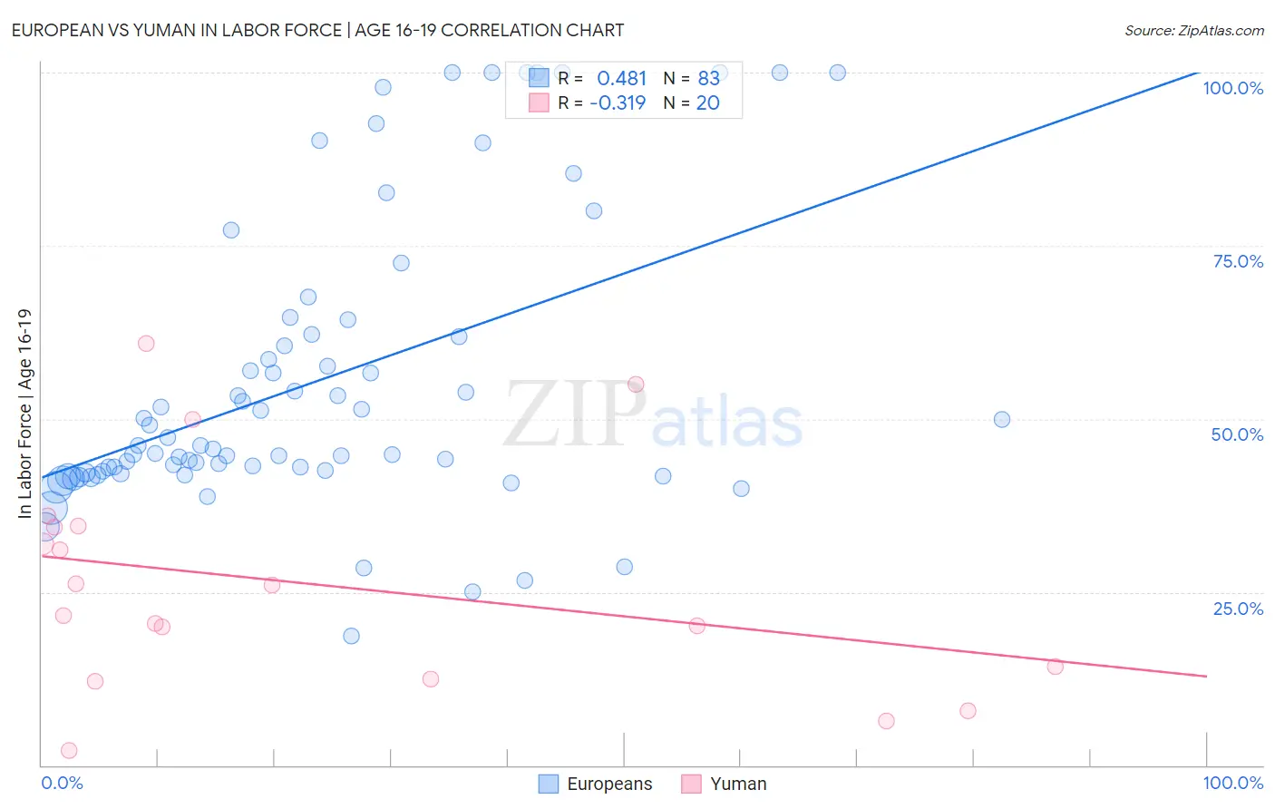 European vs Yuman In Labor Force | Age 16-19