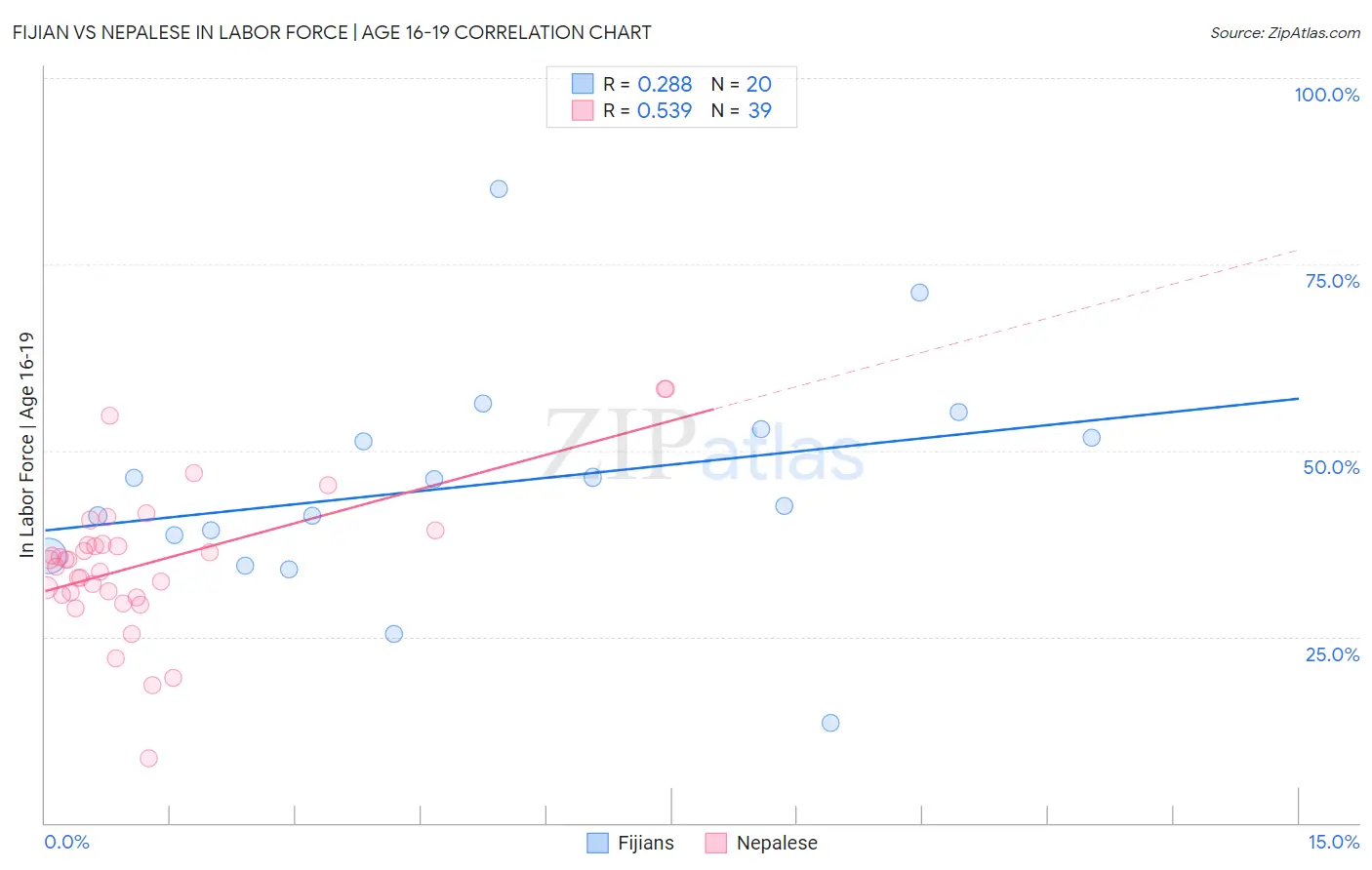 Fijian vs Nepalese In Labor Force | Age 16-19