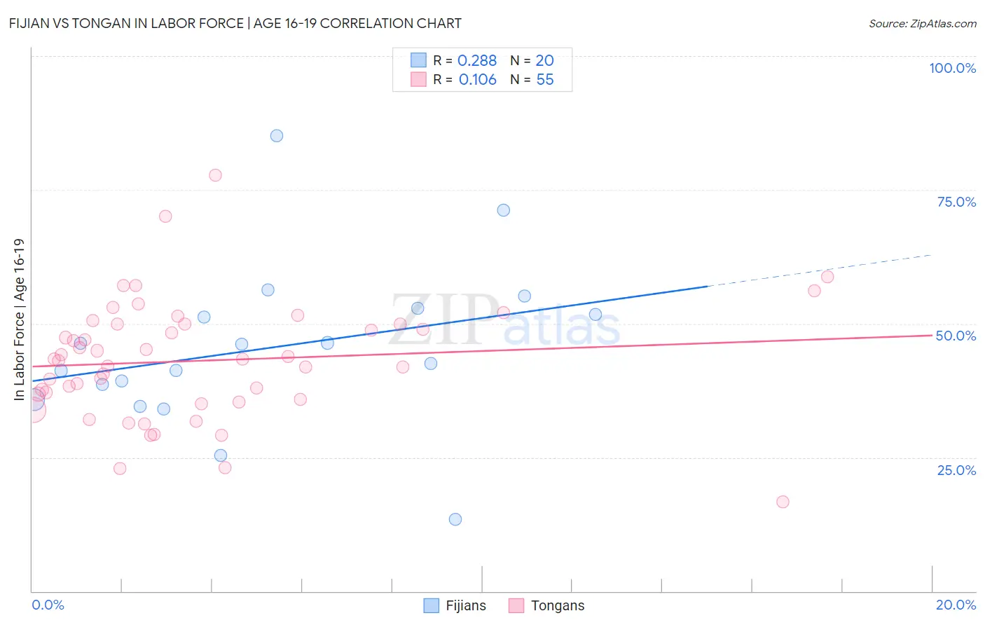 Fijian vs Tongan In Labor Force | Age 16-19