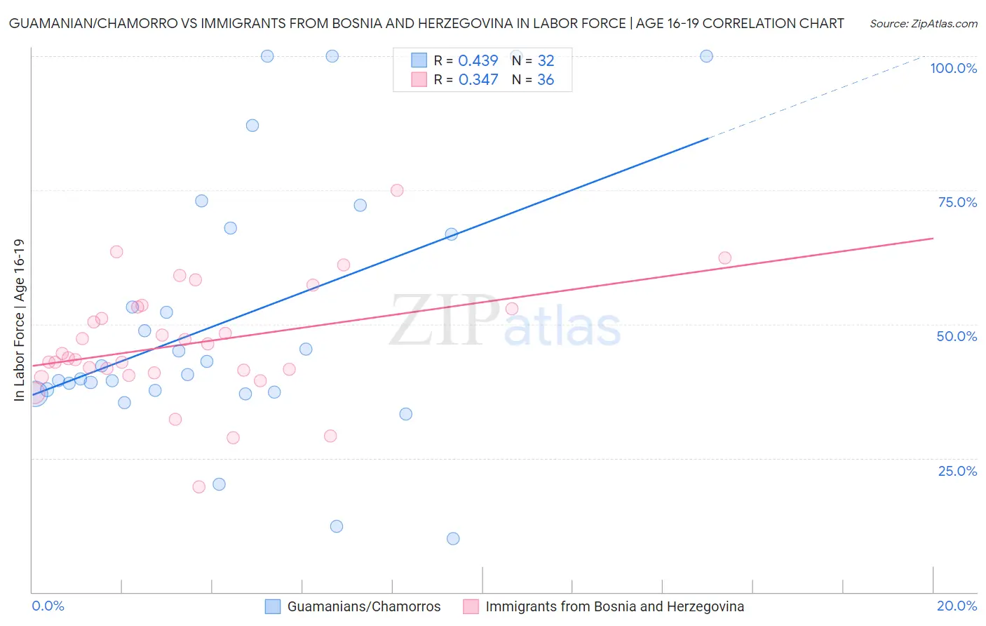 Guamanian/Chamorro vs Immigrants from Bosnia and Herzegovina In Labor Force | Age 16-19