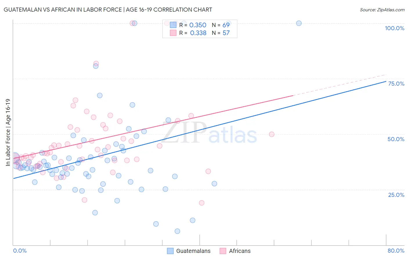 Guatemalan vs African In Labor Force | Age 16-19