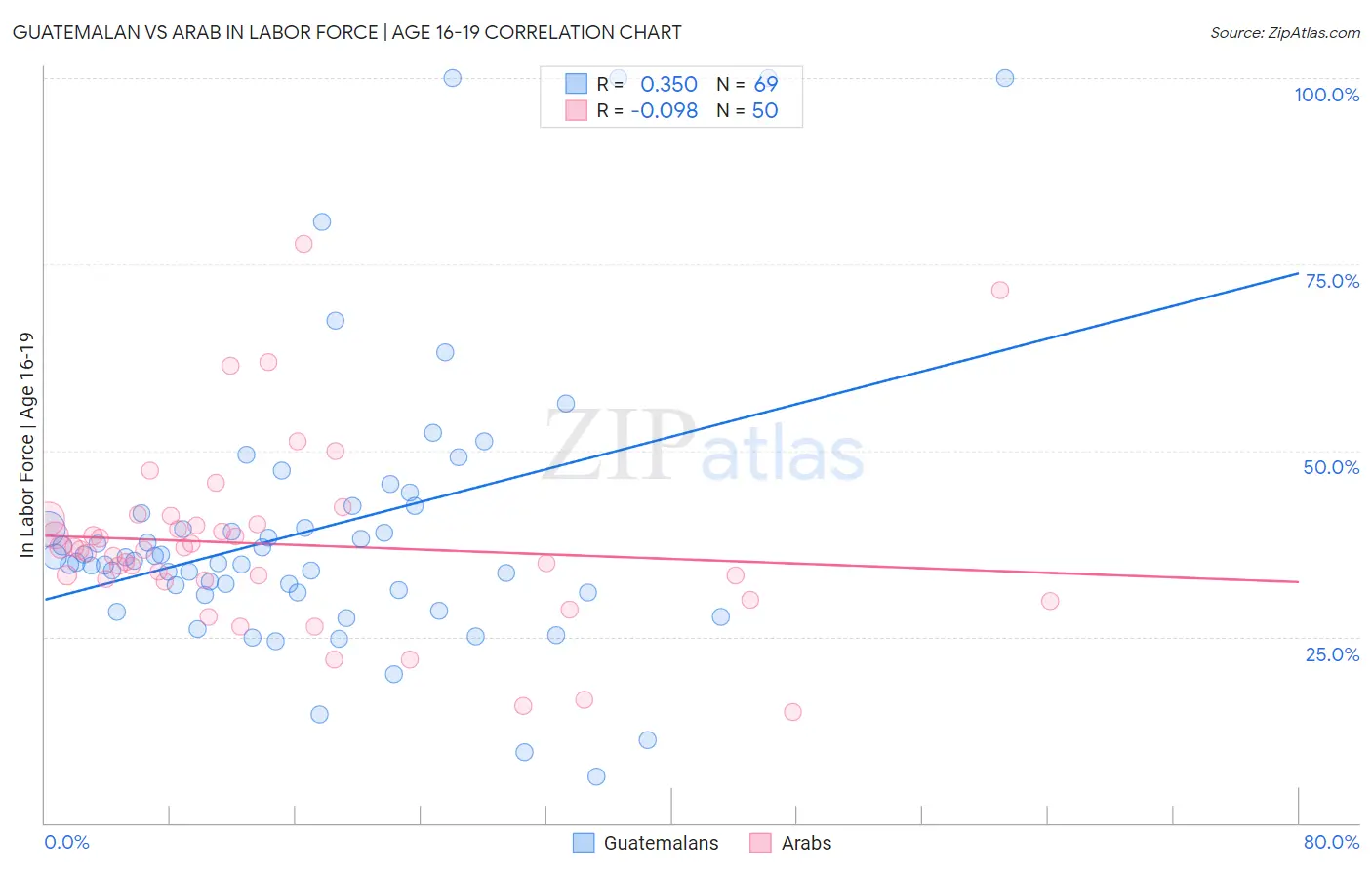 Guatemalan vs Arab In Labor Force | Age 16-19