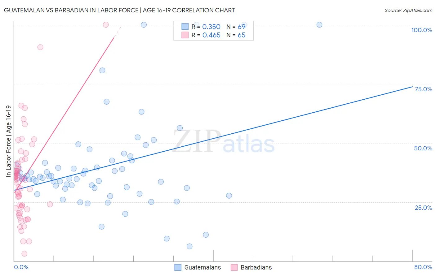 Guatemalan vs Barbadian In Labor Force | Age 16-19