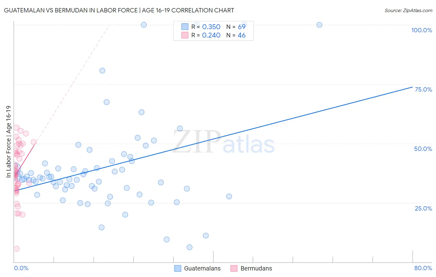 Guatemalan vs Bermudan In Labor Force | Age 16-19