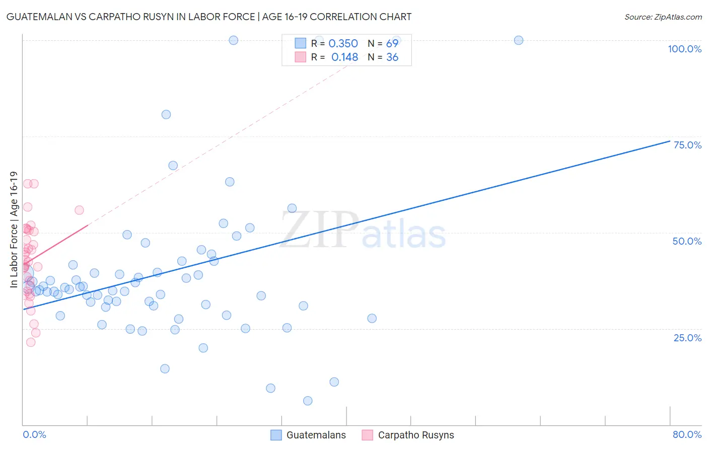 Guatemalan vs Carpatho Rusyn In Labor Force | Age 16-19