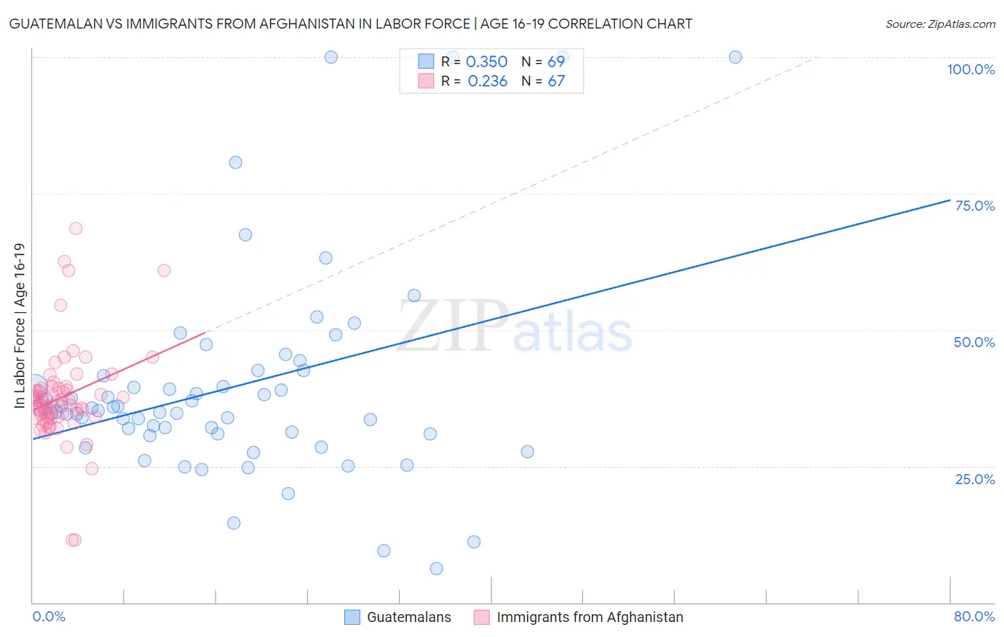 Guatemalan vs Immigrants from Afghanistan In Labor Force | Age 16-19