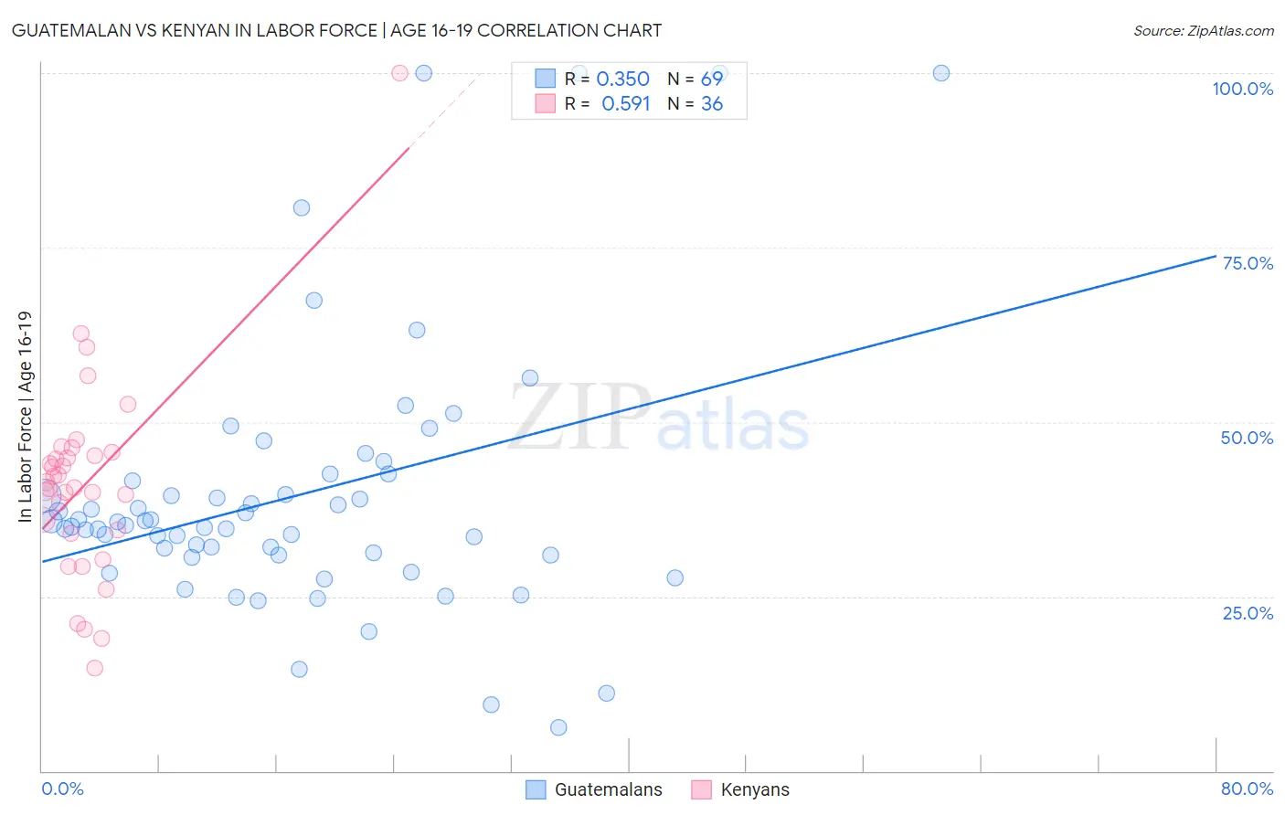 Guatemalan vs Kenyan In Labor Force | Age 16-19