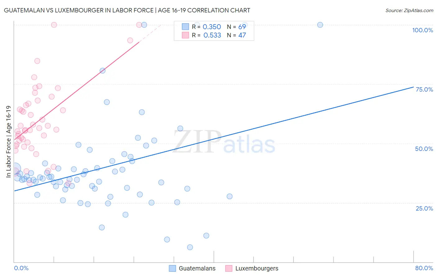 Guatemalan vs Luxembourger In Labor Force | Age 16-19