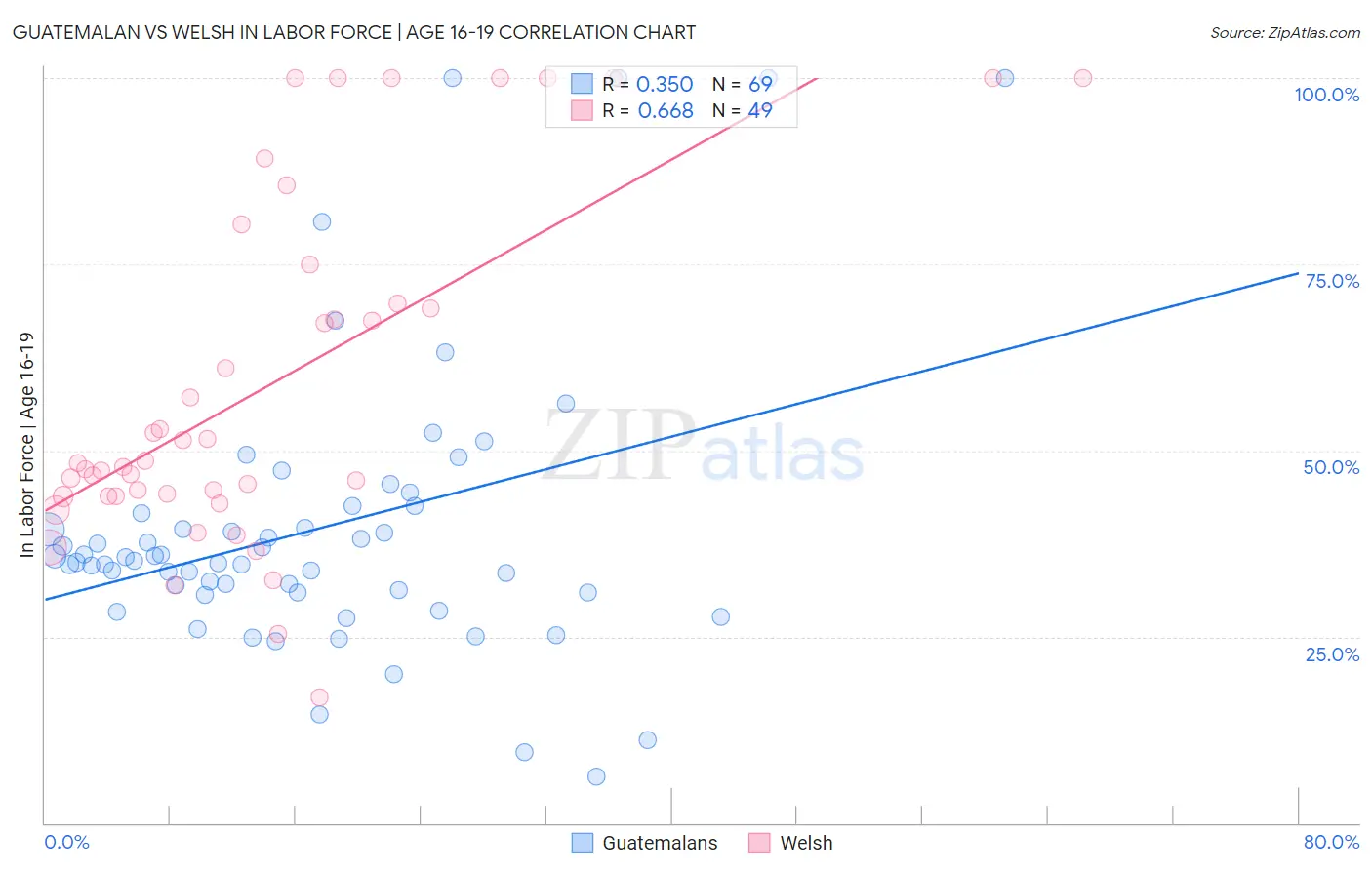 Guatemalan vs Welsh In Labor Force | Age 16-19