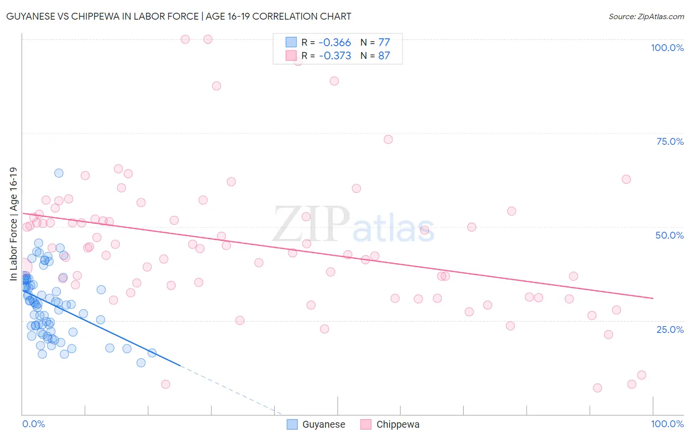 Guyanese vs Chippewa In Labor Force | Age 16-19