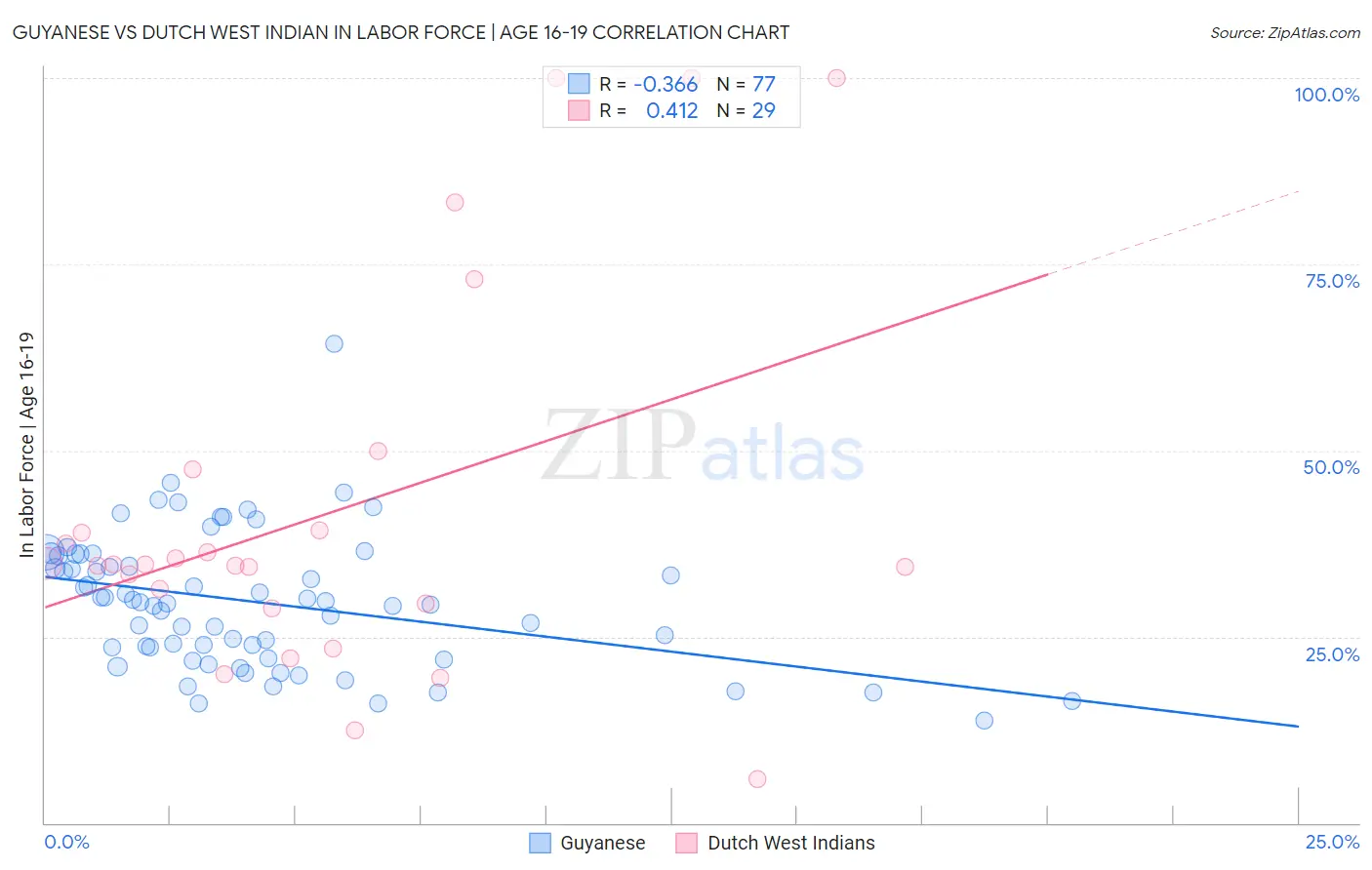 Guyanese vs Dutch West Indian In Labor Force | Age 16-19