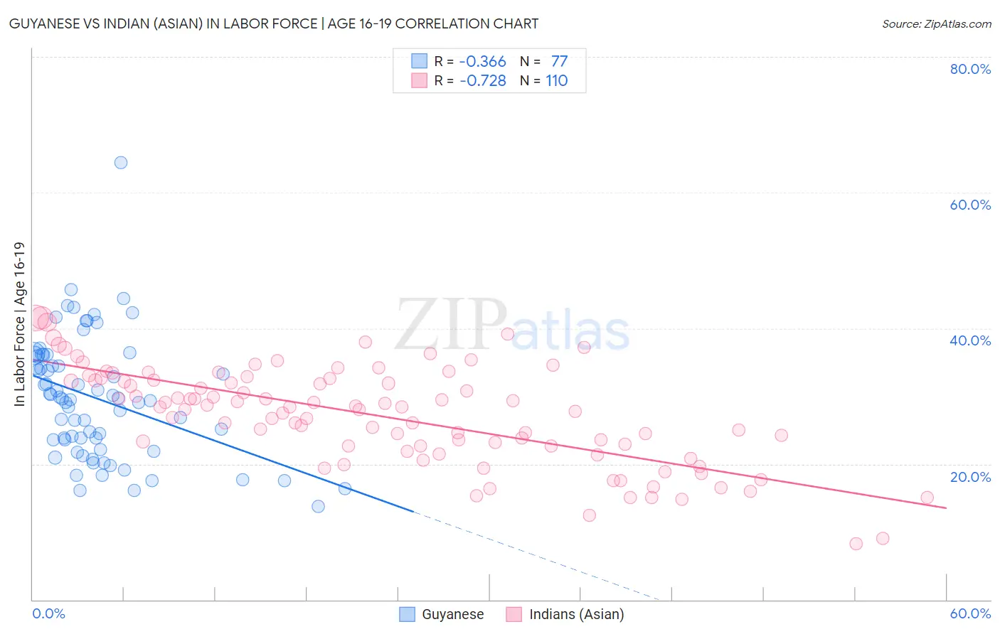 Guyanese vs Indian (Asian) In Labor Force | Age 16-19