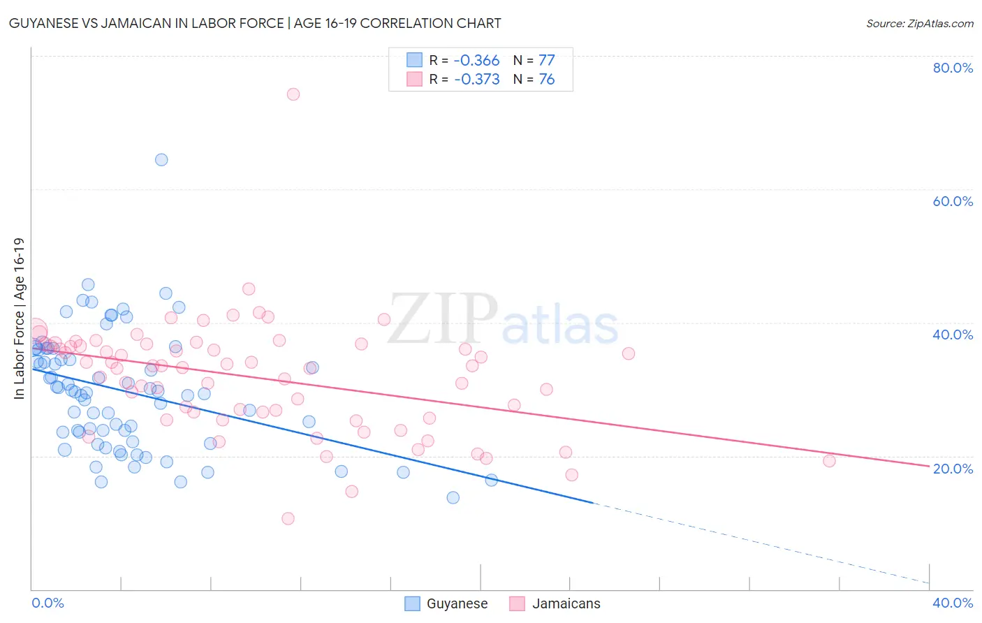 Guyanese vs Jamaican In Labor Force | Age 16-19