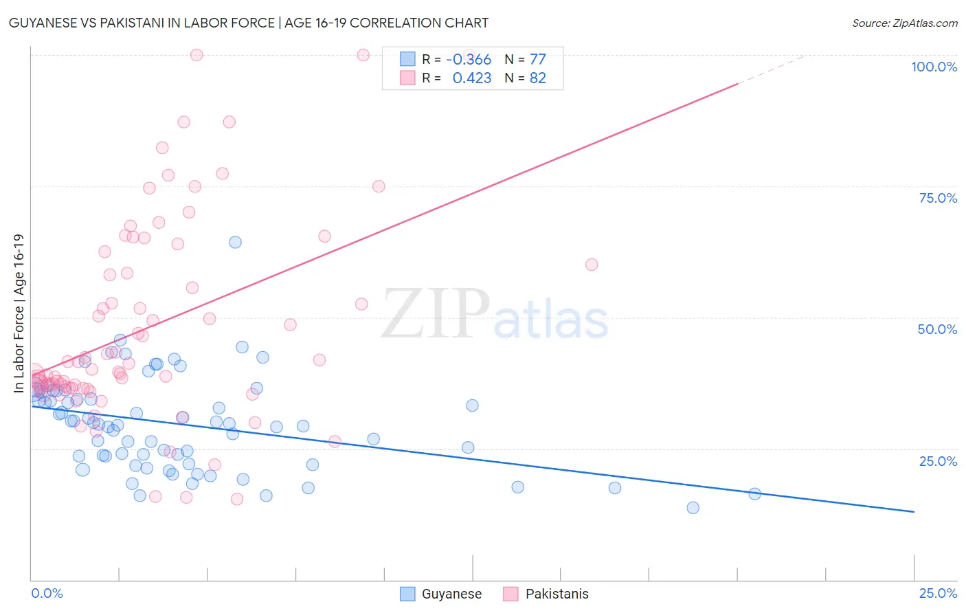 Guyanese vs Pakistani In Labor Force | Age 16-19