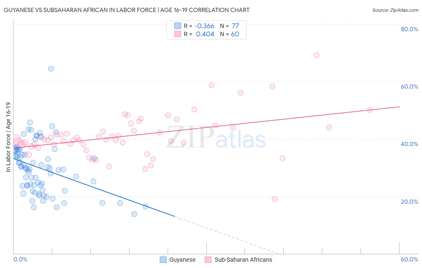 Guyanese vs Subsaharan African In Labor Force | Age 16-19