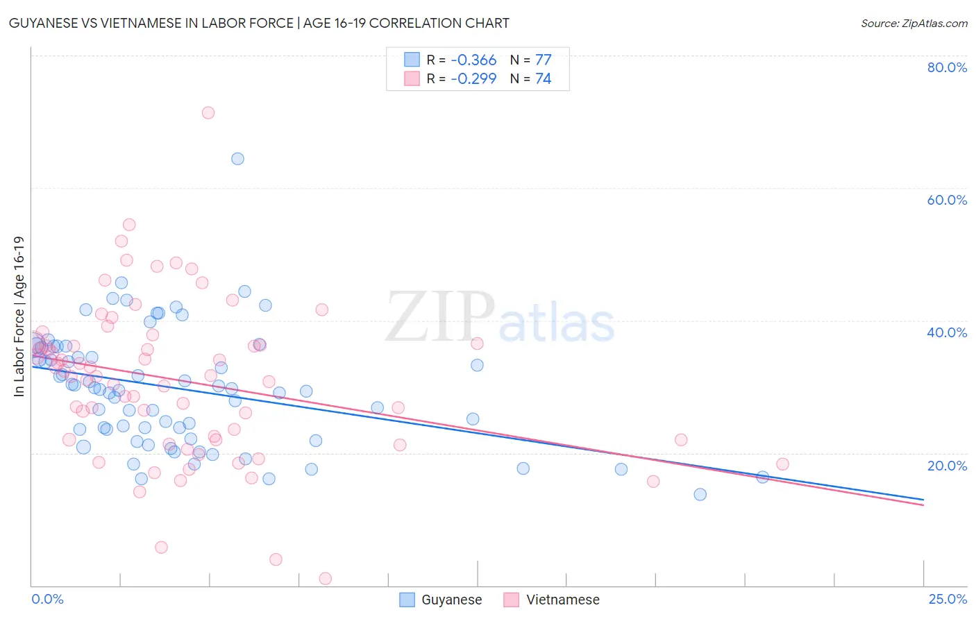 Guyanese vs Vietnamese In Labor Force | Age 16-19