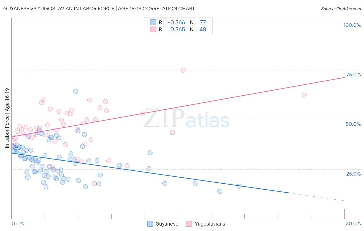 Guyanese vs Yugoslavian In Labor Force | Age 16-19