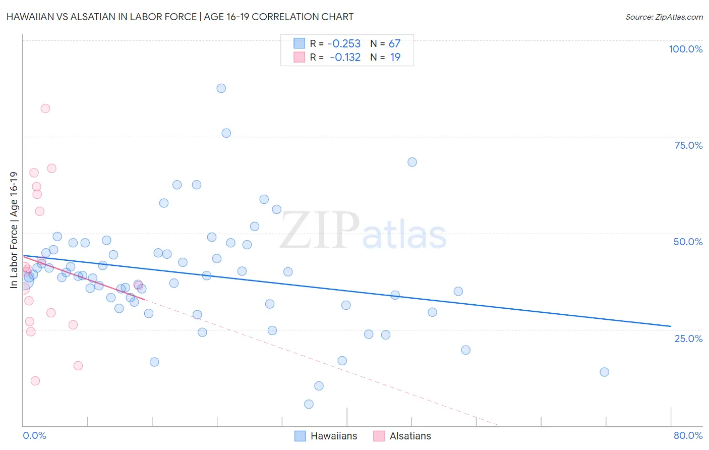 Hawaiian vs Alsatian In Labor Force | Age 16-19