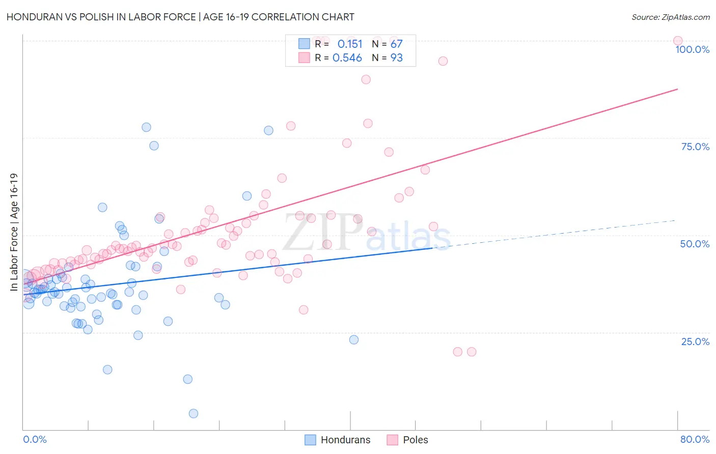 Honduran vs Polish In Labor Force | Age 16-19