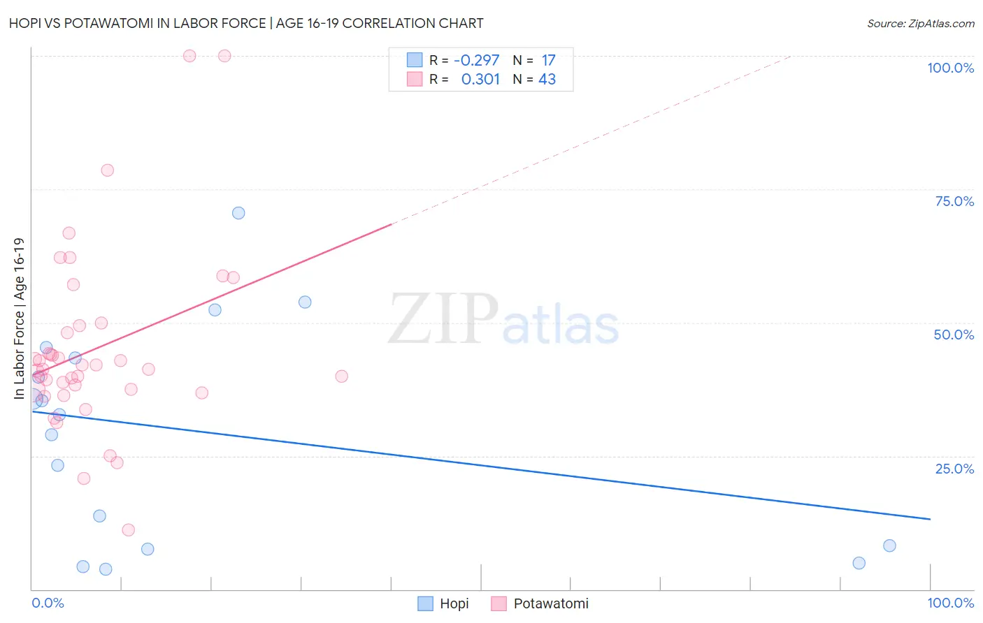 Hopi vs Potawatomi In Labor Force | Age 16-19