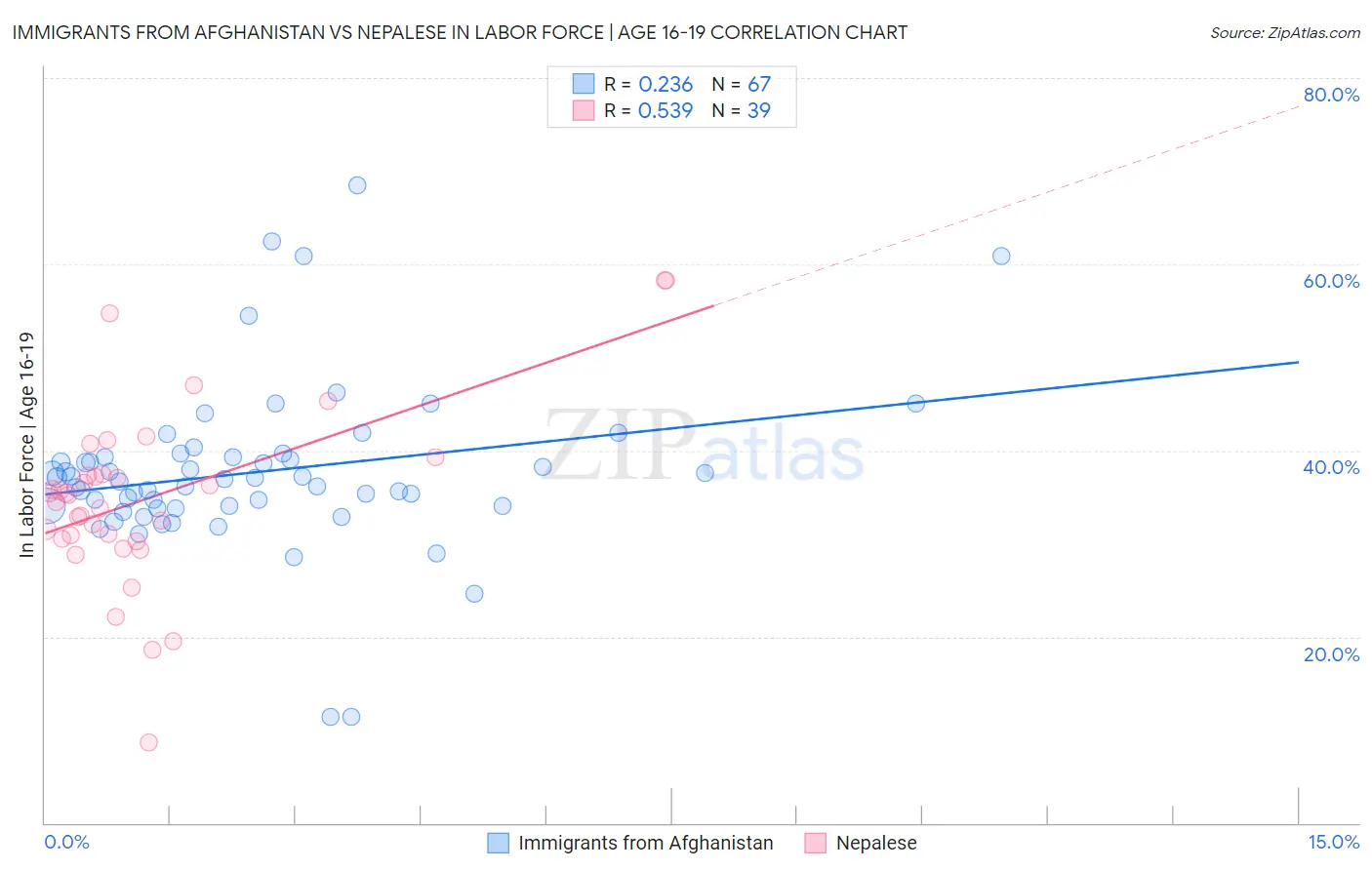 Immigrants from Afghanistan vs Nepalese In Labor Force | Age 16-19