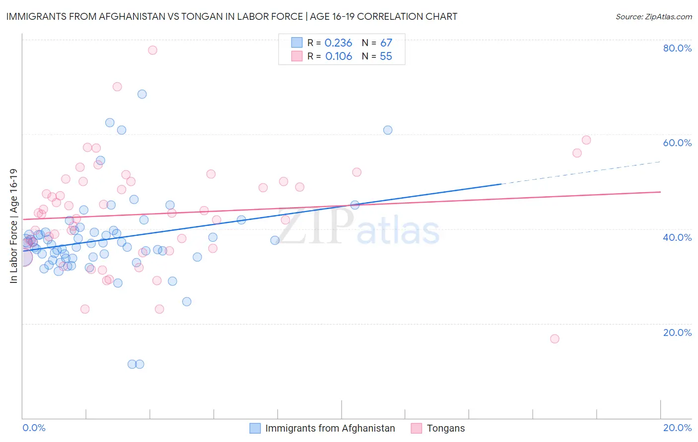 Immigrants from Afghanistan vs Tongan In Labor Force | Age 16-19