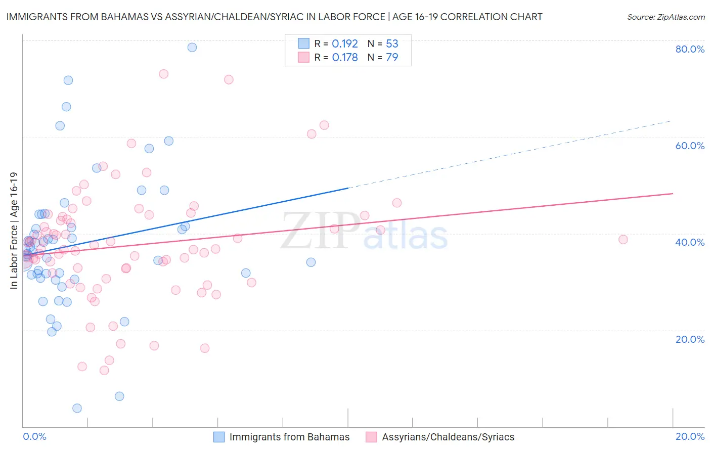 Immigrants from Bahamas vs Assyrian/Chaldean/Syriac In Labor Force | Age 16-19