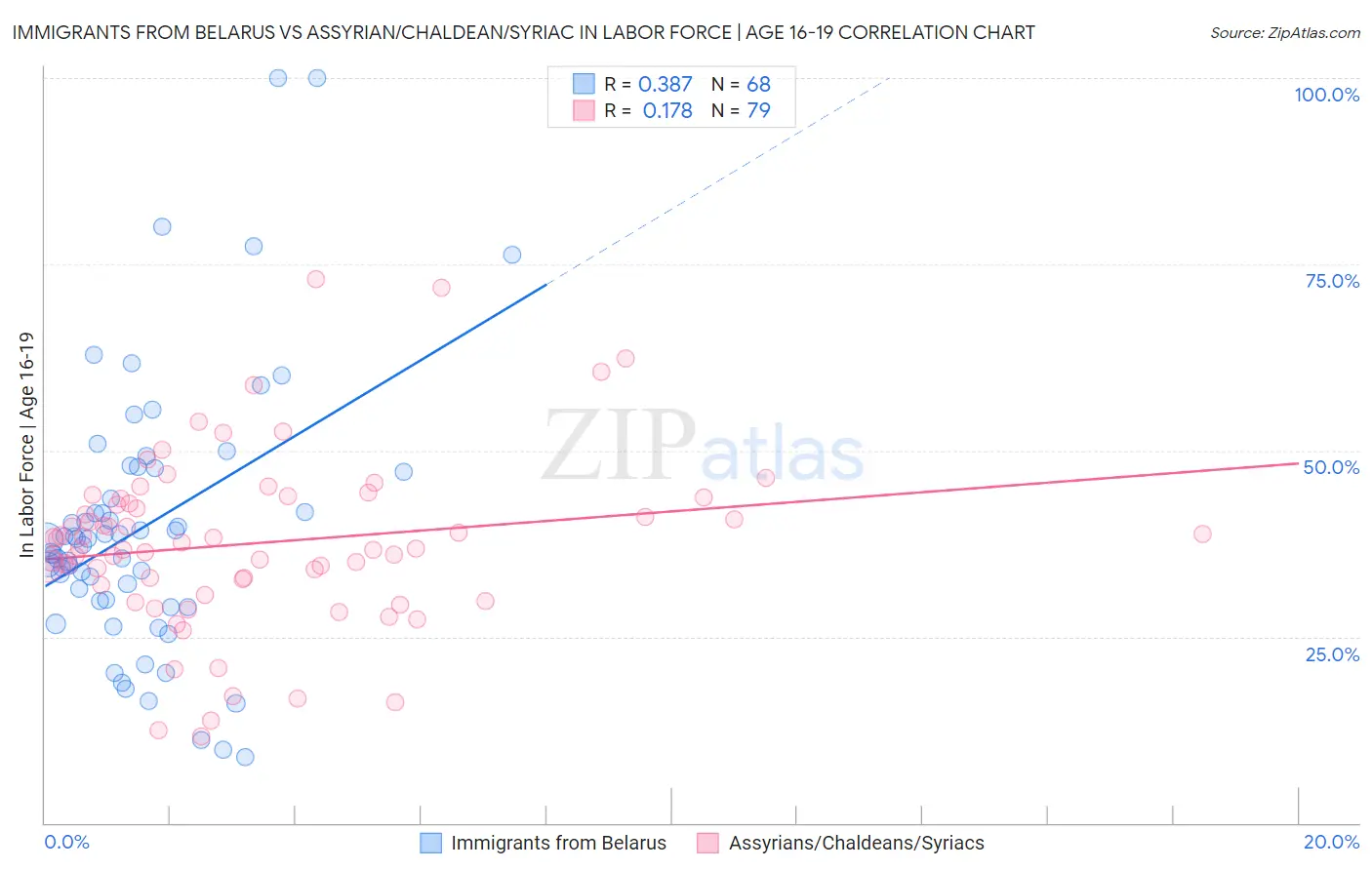 Immigrants from Belarus vs Assyrian/Chaldean/Syriac In Labor Force | Age 16-19