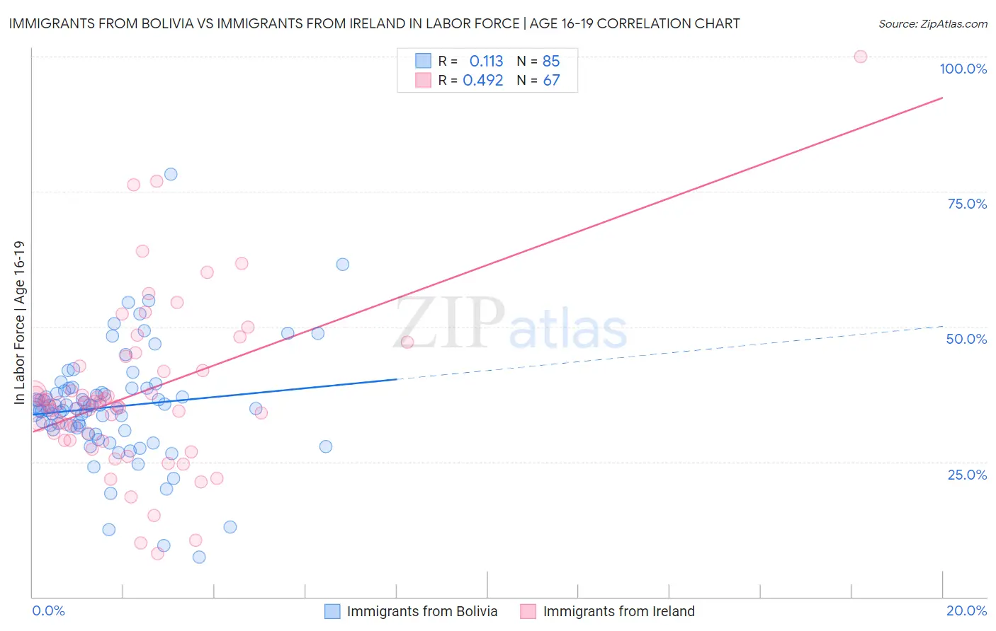 Immigrants from Bolivia vs Immigrants from Ireland In Labor Force | Age 16-19