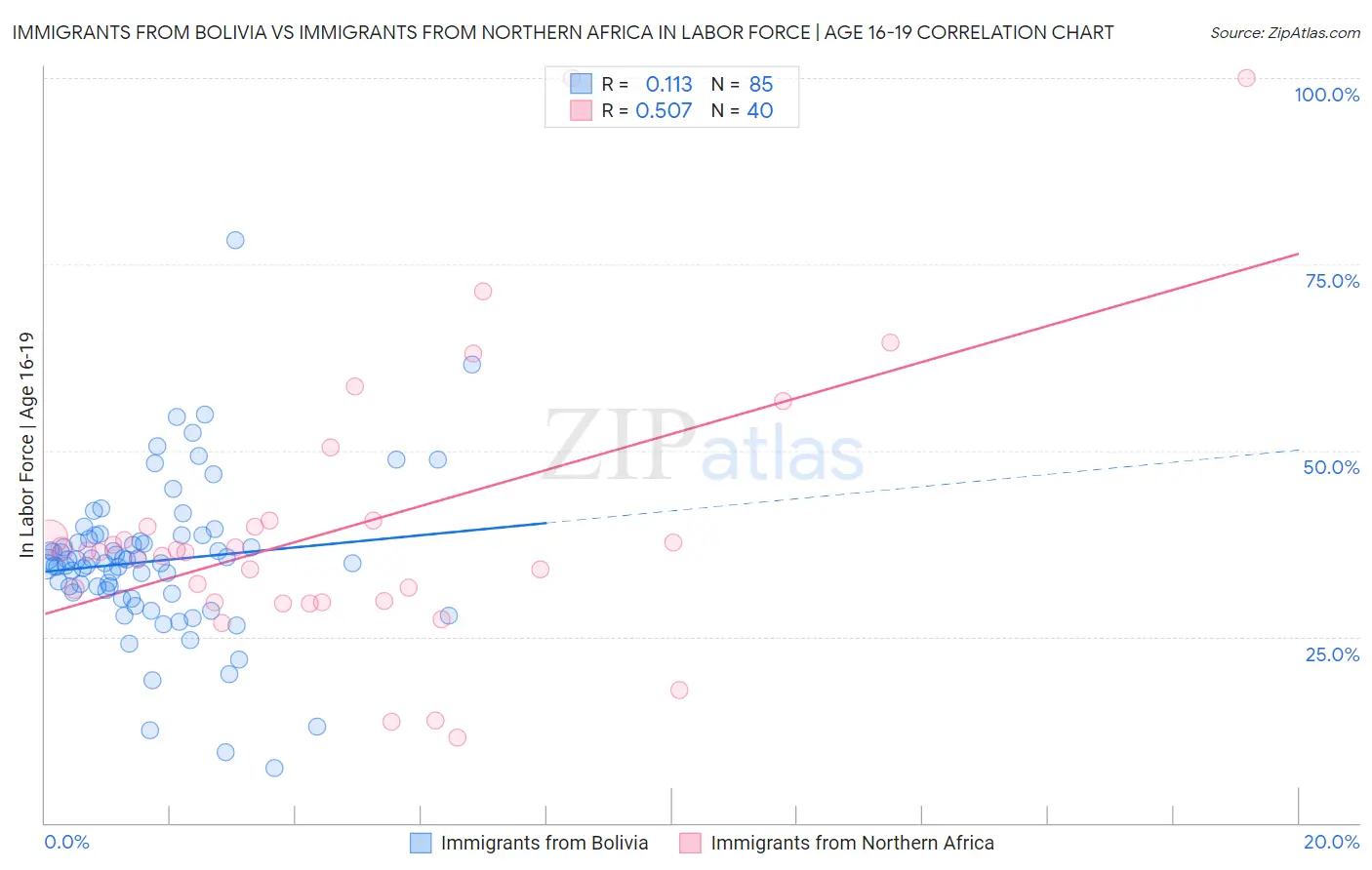 Immigrants from Bolivia vs Immigrants from Northern Africa In Labor Force | Age 16-19