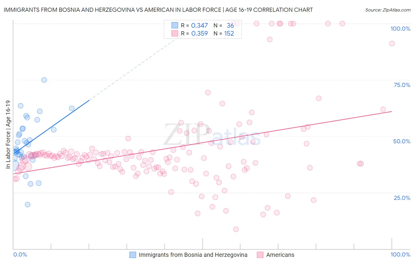 Immigrants from Bosnia and Herzegovina vs American In Labor Force | Age 16-19