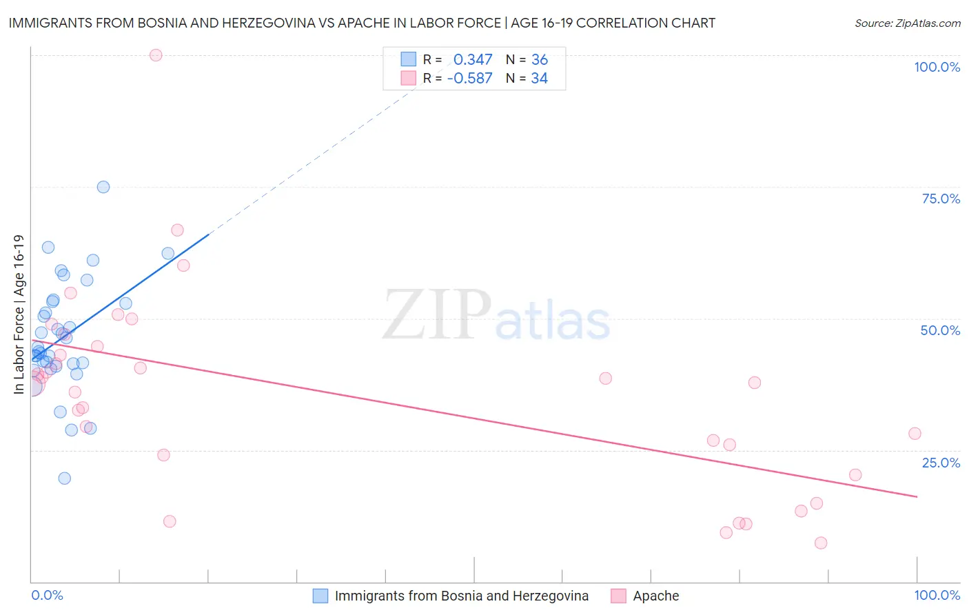 Immigrants from Bosnia and Herzegovina vs Apache In Labor Force | Age 16-19