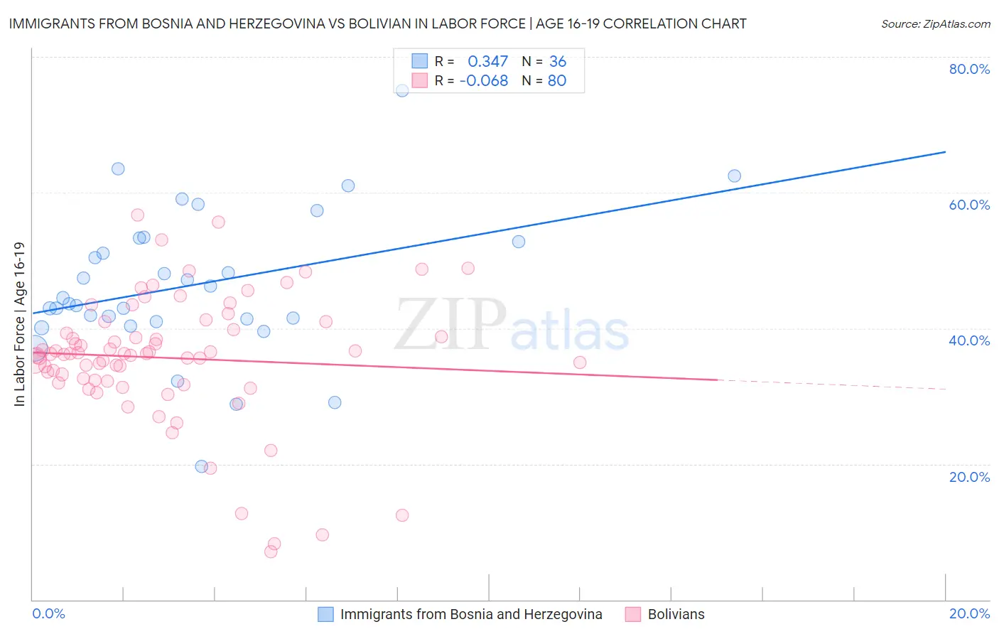 Immigrants from Bosnia and Herzegovina vs Bolivian In Labor Force | Age 16-19
