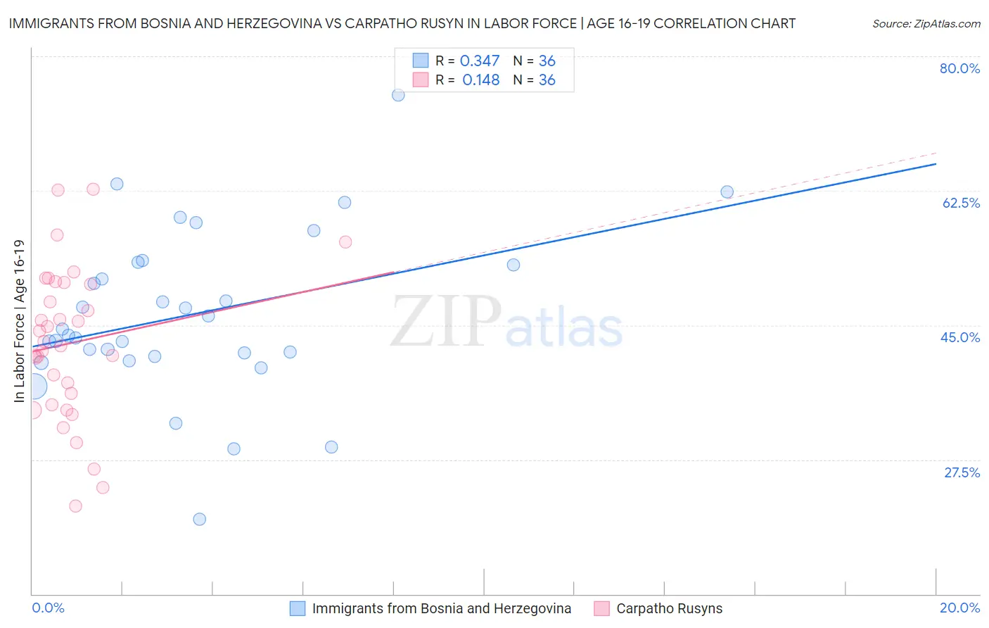 Immigrants from Bosnia and Herzegovina vs Carpatho Rusyn In Labor Force | Age 16-19