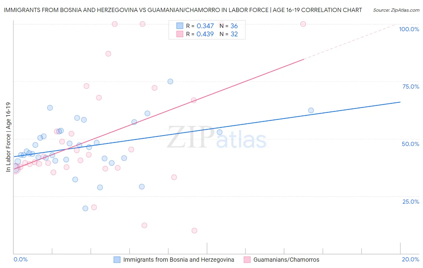 Immigrants from Bosnia and Herzegovina vs Guamanian/Chamorro In Labor Force | Age 16-19