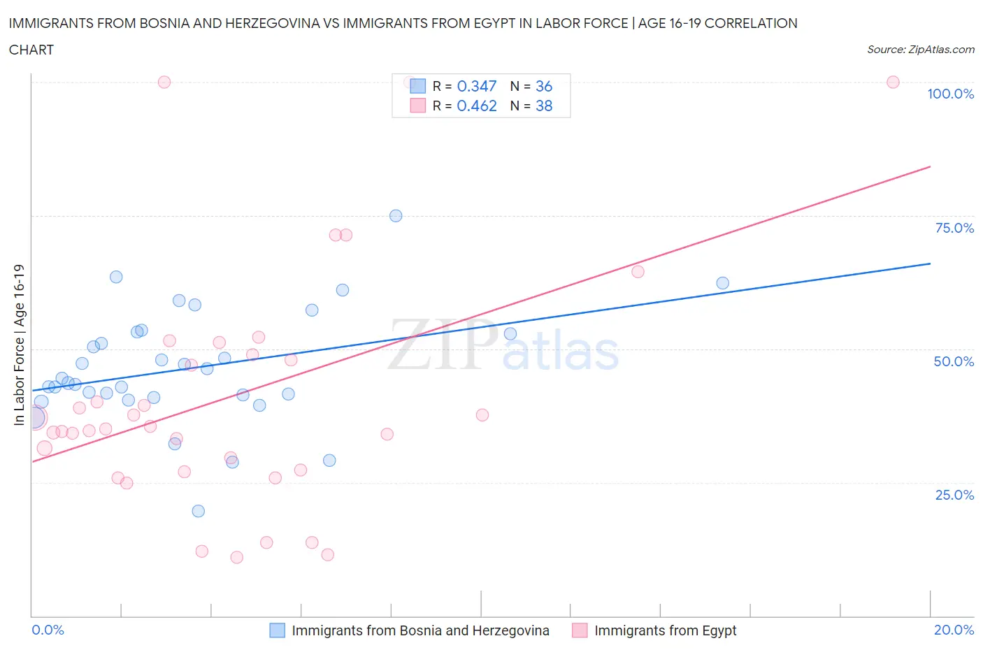 Immigrants from Bosnia and Herzegovina vs Immigrants from Egypt In Labor Force | Age 16-19