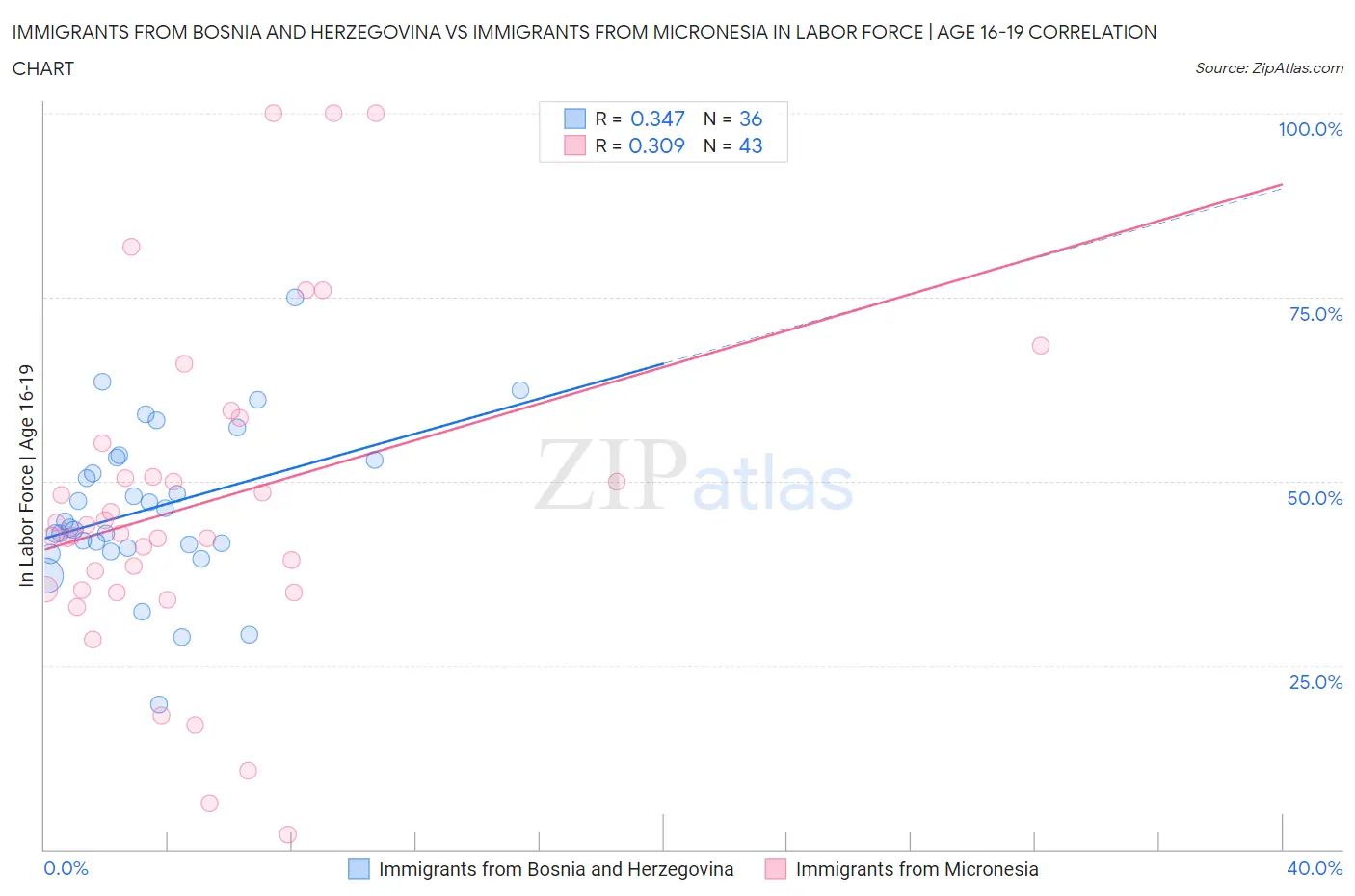 Immigrants from Bosnia and Herzegovina vs Immigrants from Micronesia In Labor Force | Age 16-19