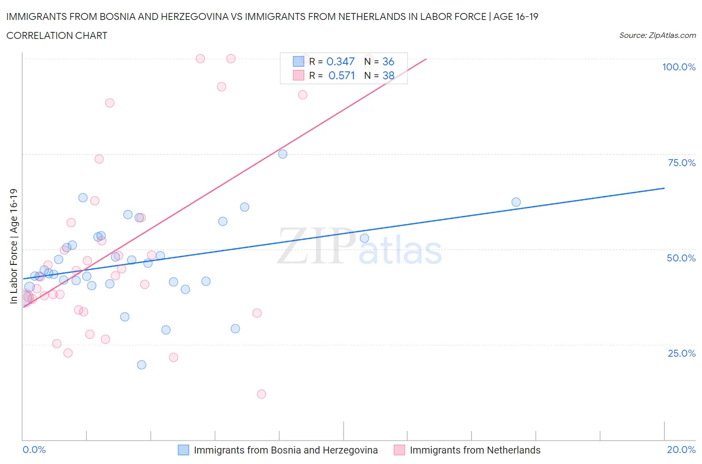 Immigrants from Bosnia and Herzegovina vs Immigrants from Netherlands In Labor Force | Age 16-19