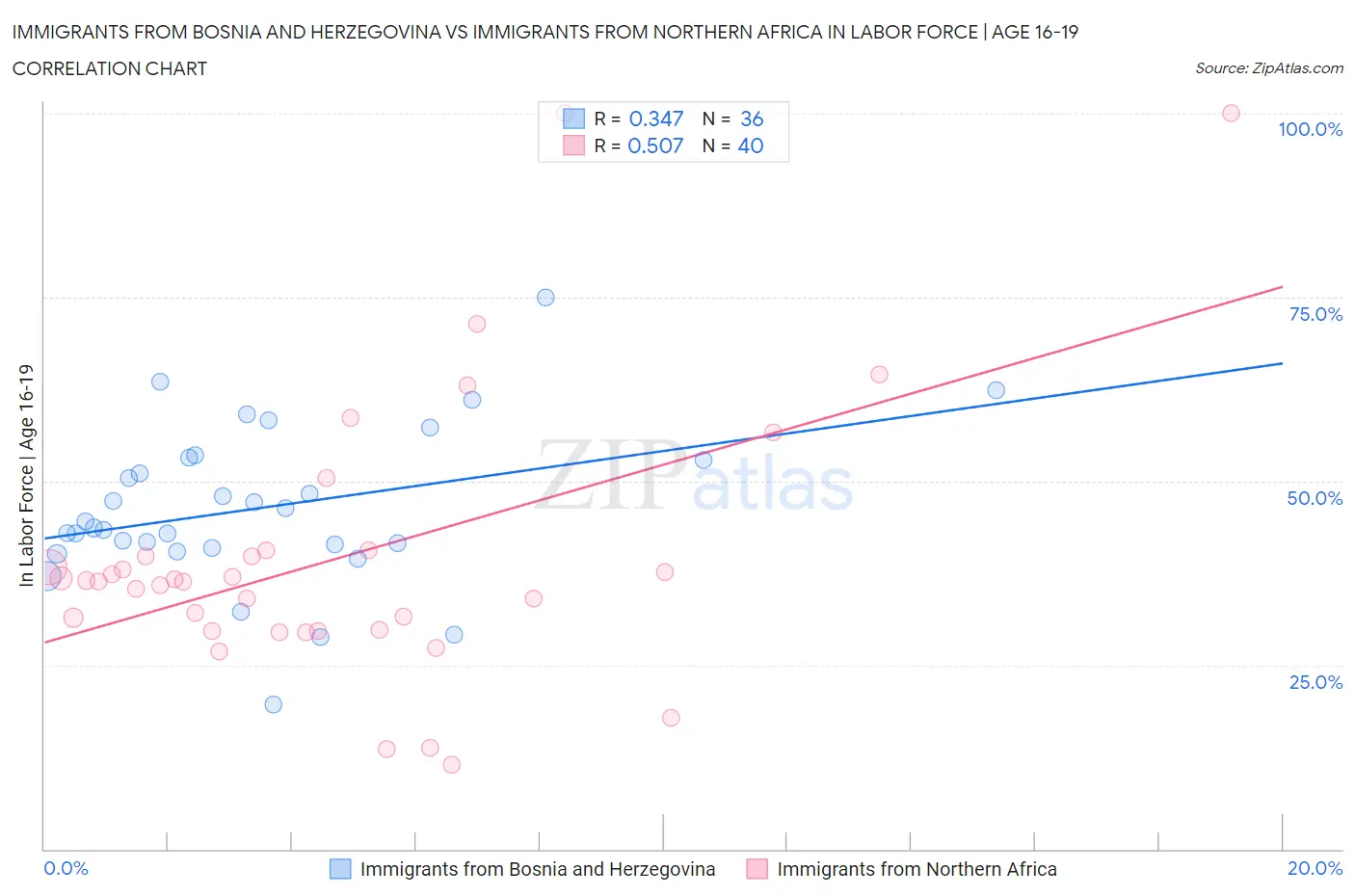 Immigrants from Bosnia and Herzegovina vs Immigrants from Northern Africa In Labor Force | Age 16-19