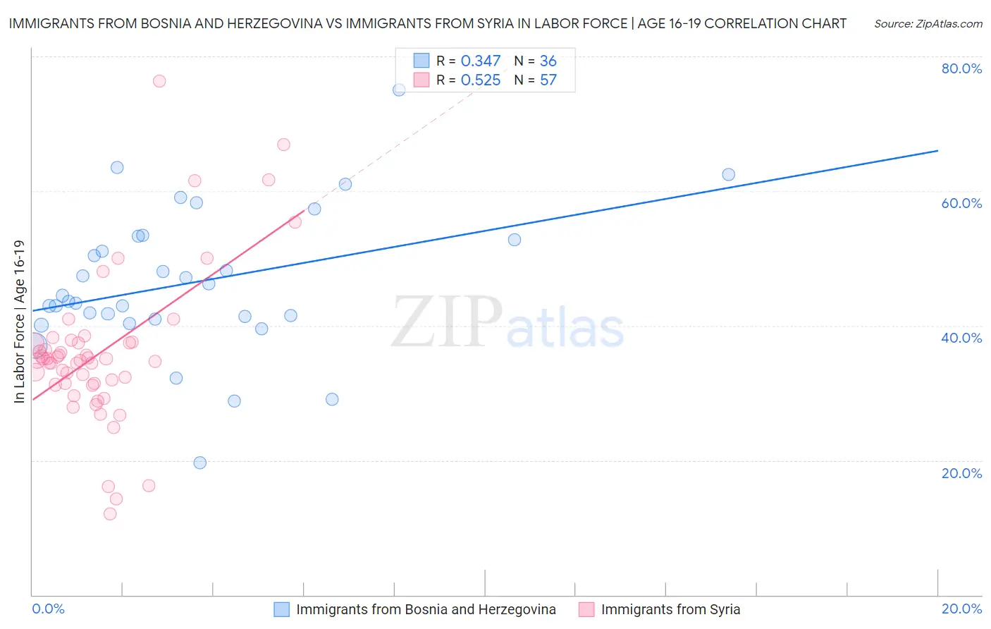 Immigrants from Bosnia and Herzegovina vs Immigrants from Syria In Labor Force | Age 16-19