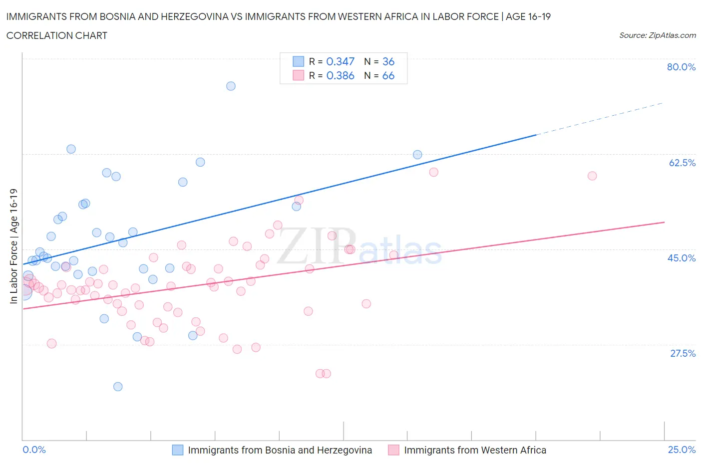 Immigrants from Bosnia and Herzegovina vs Immigrants from Western Africa In Labor Force | Age 16-19
