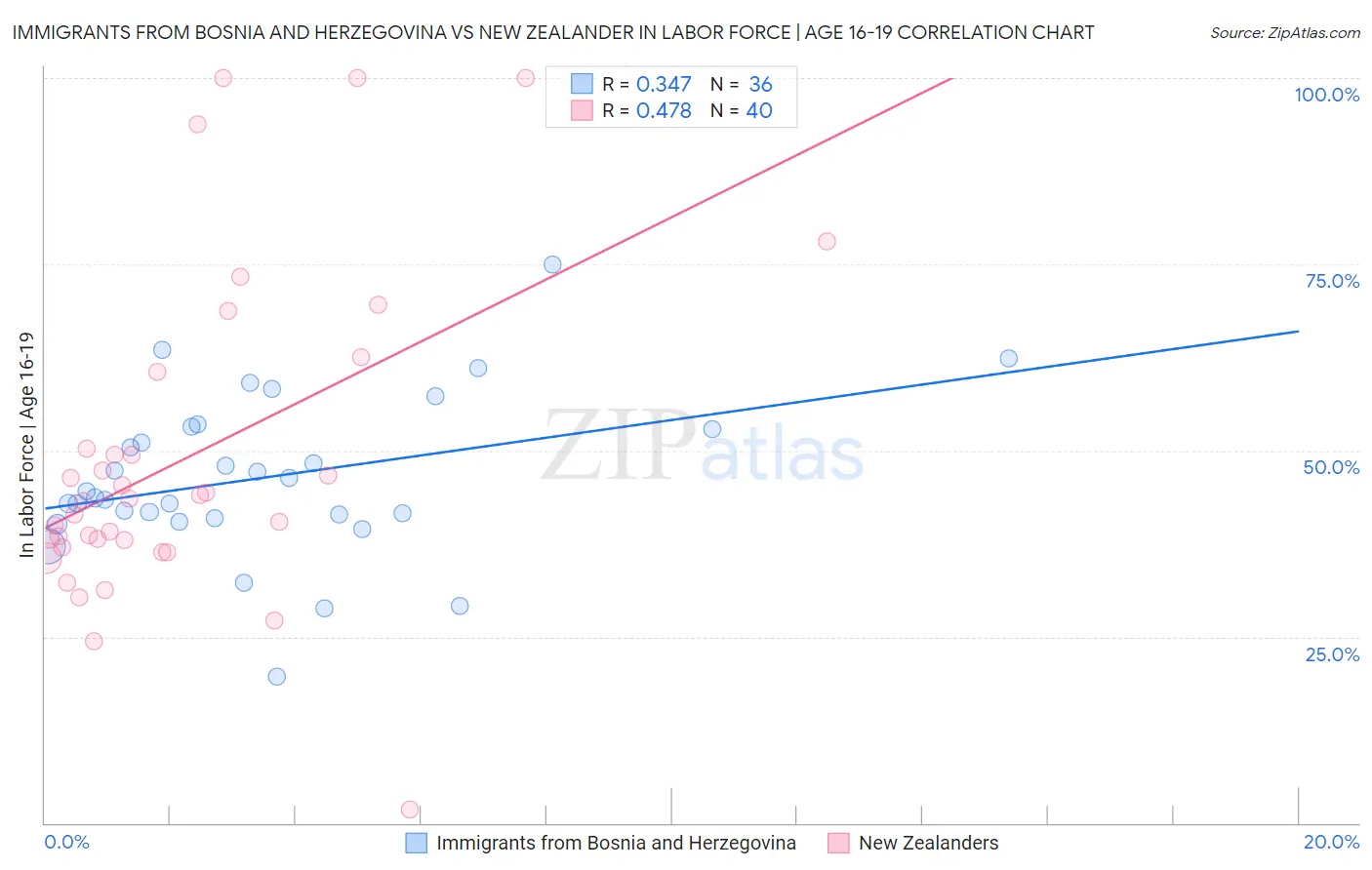 Immigrants from Bosnia and Herzegovina vs New Zealander In Labor Force | Age 16-19